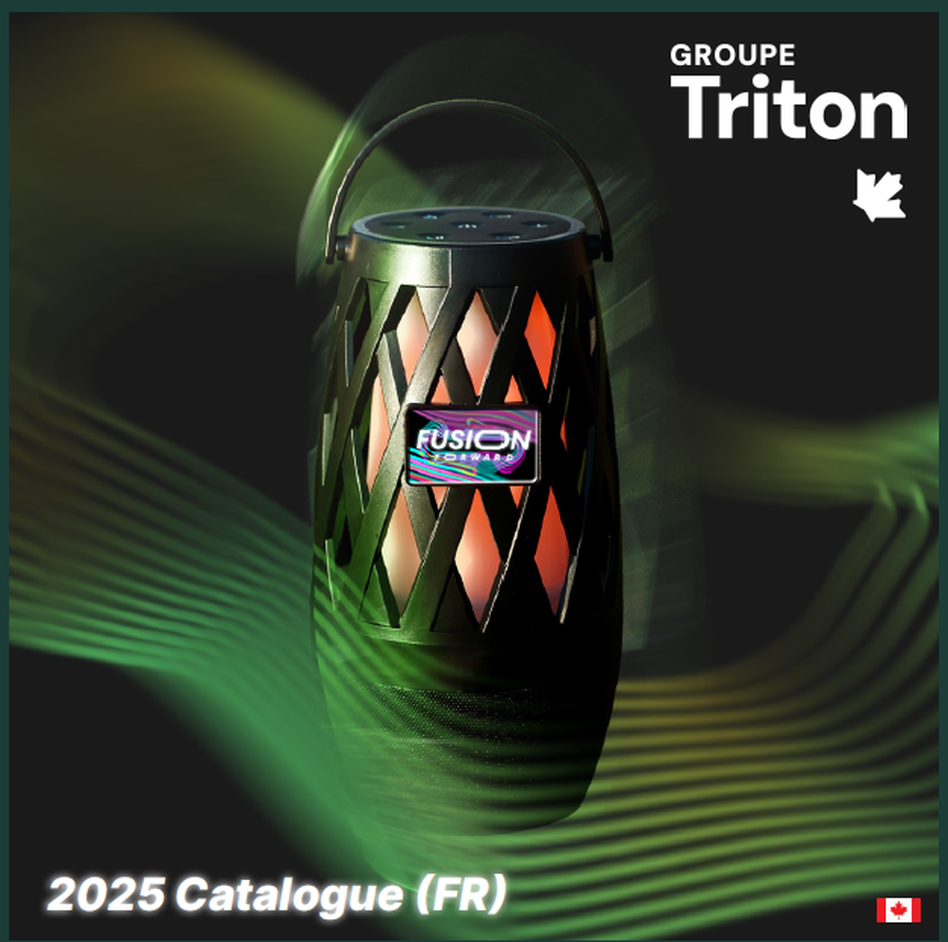 Le groupe Triton